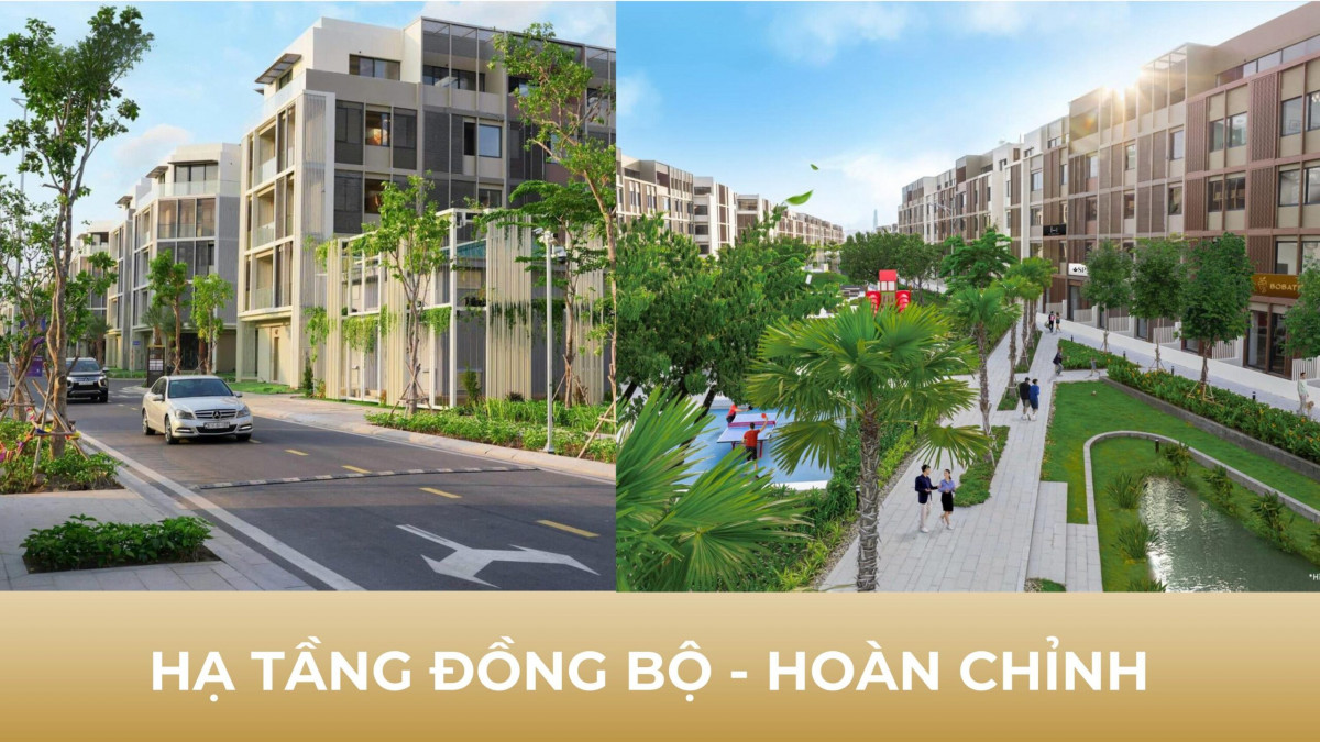 thiết kế beverly