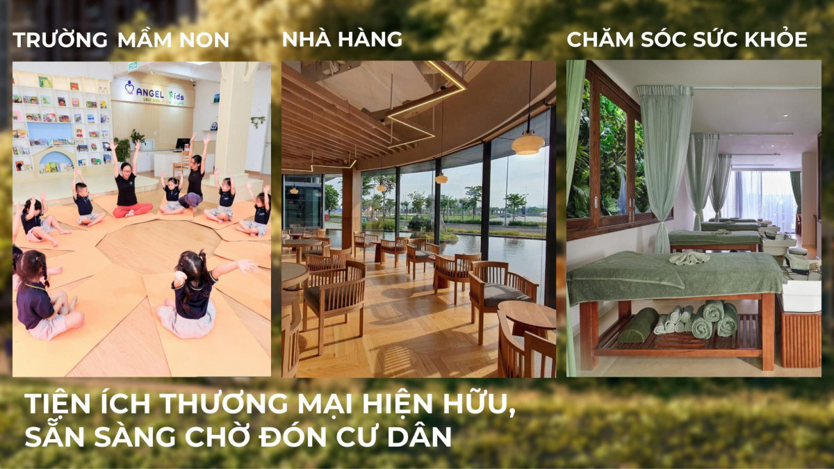 thiết kế beverly