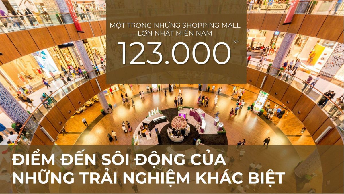 thiết kế beverly